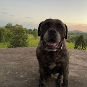 Meet your Posher, Myah-grace